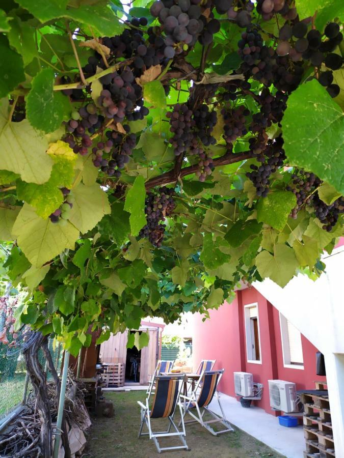 Casa Giovanni Appartamento *